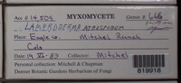 Image Associated With the Occurence